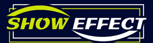 Website Show Effect Logo
